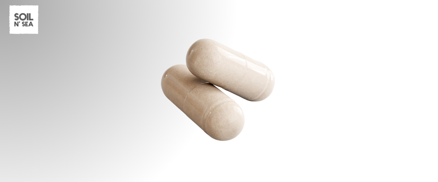 Complete Multivitamin