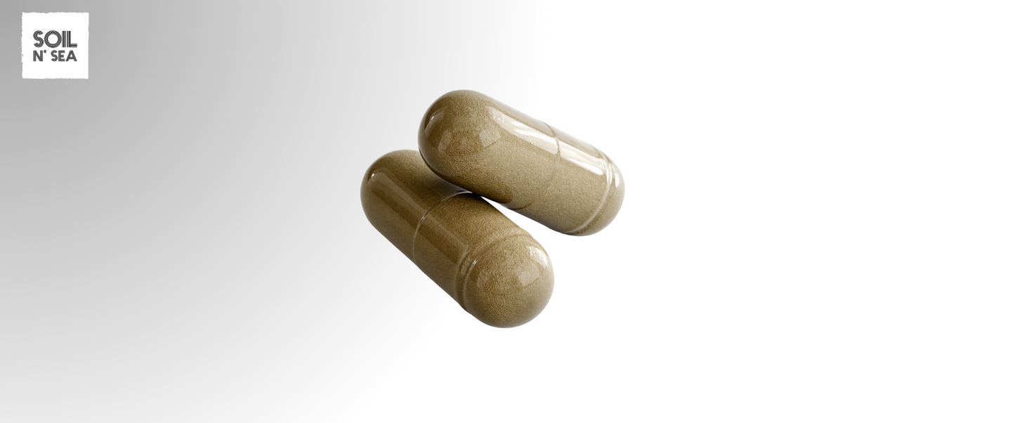 Ginkgo Biloba + Ginseng