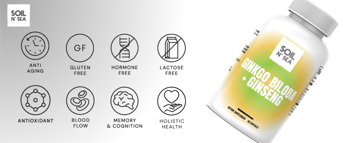 Ginkgo Biloba + Ginseng