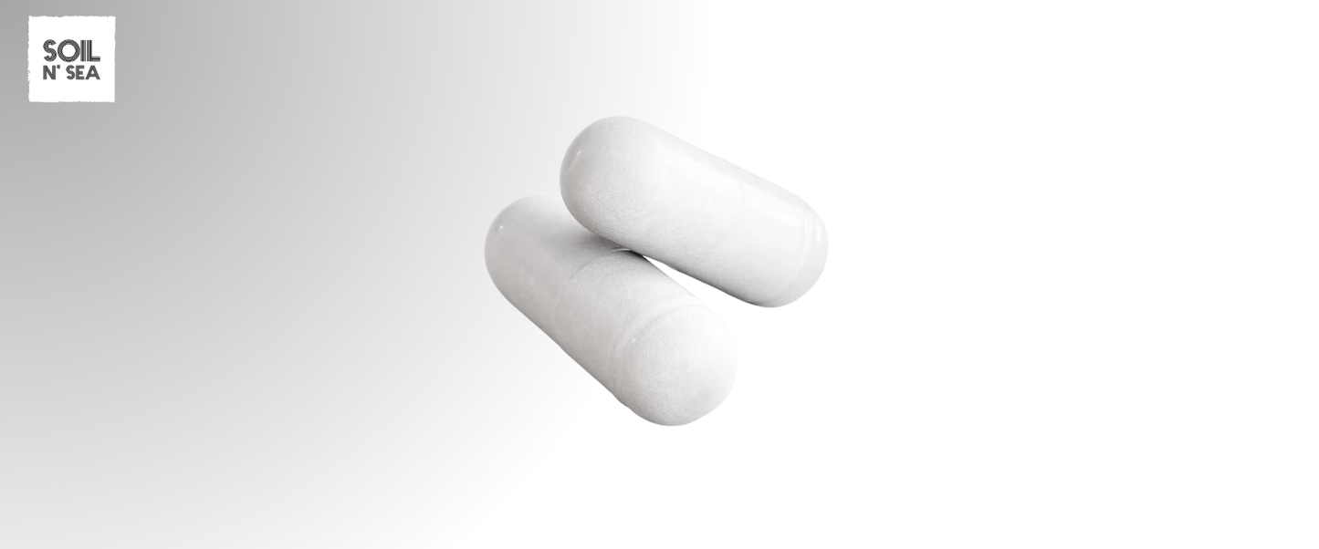 Prebiotics & Probiotics