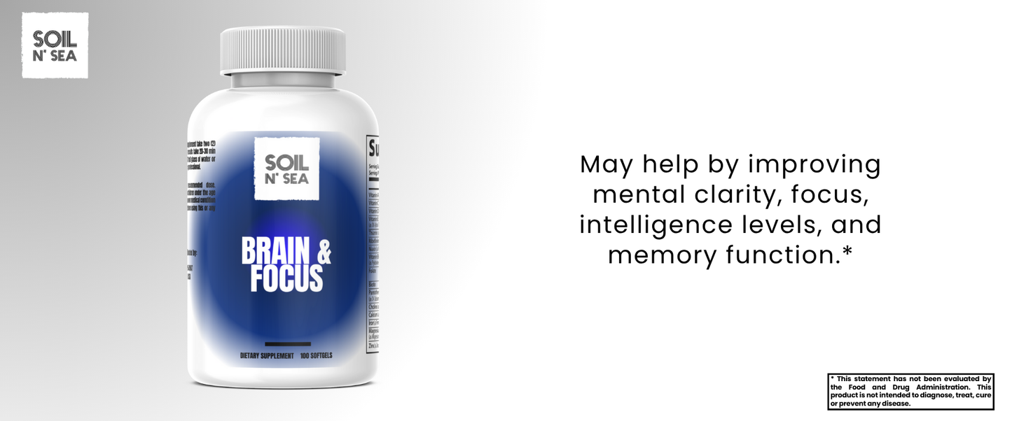 Brain & Focus