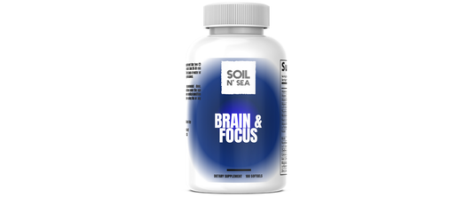 Brain & Focus